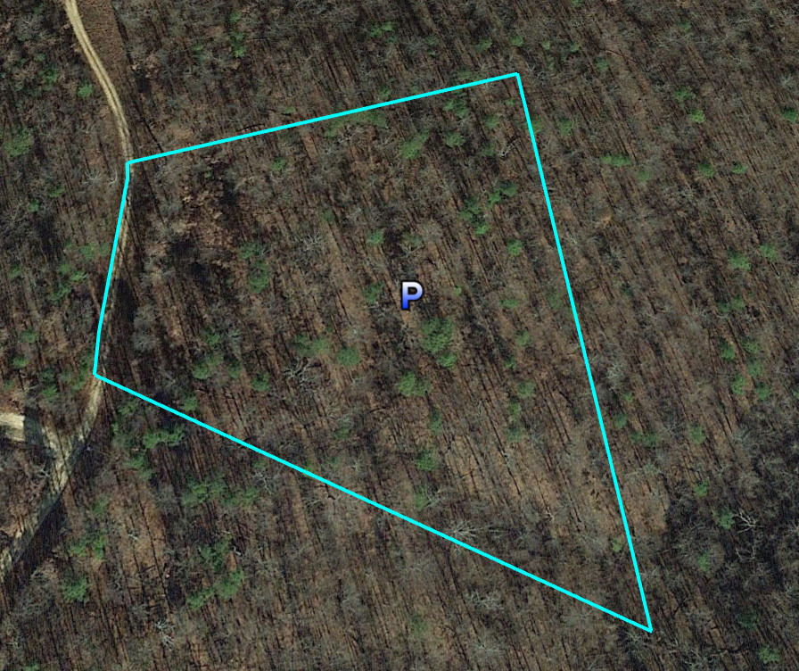 Three Wooded Acres in Indian Creek