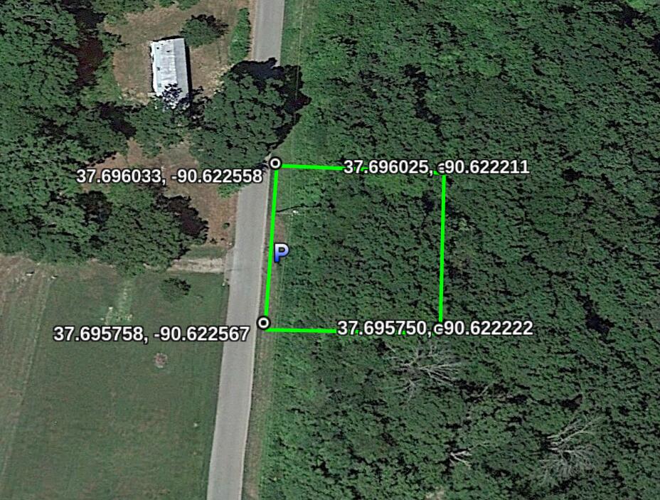 Vacant Wooded Lot near Fishing Lake