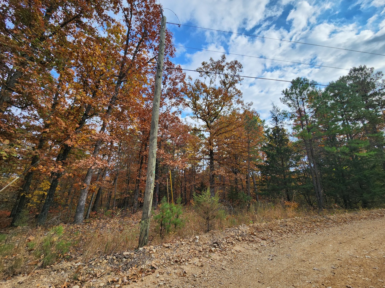 Ozark Country Land No Restrictions