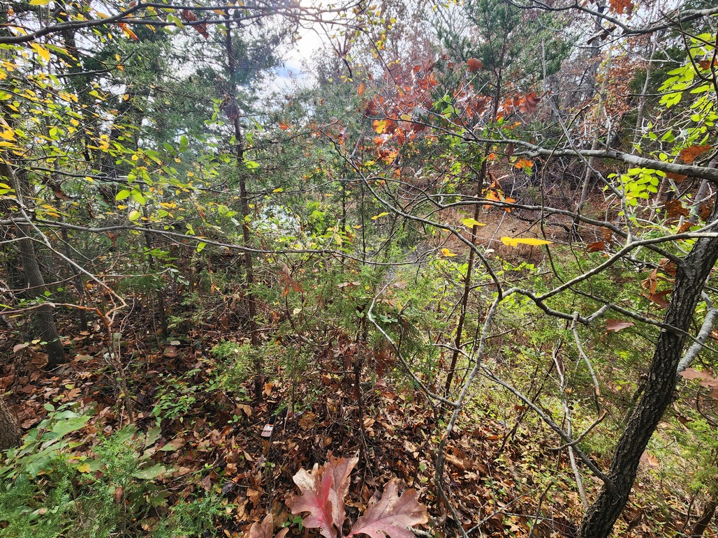 Lake Frontage Wooded Lot